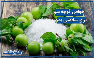فواید و خواص گوجه سبز