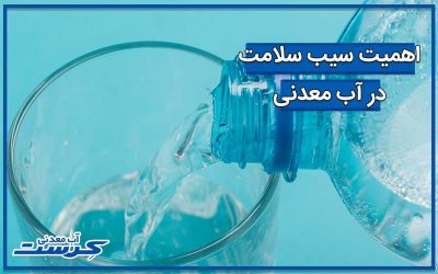 سیب سلامت در آب معدنی چیست و چه اهمیتی دارد ؟
