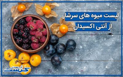 میوه های سرشار از آنتی اکسیدان