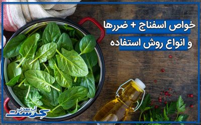 مضرات و خواص اسفناج به همراه طرز استفاده اسفناج